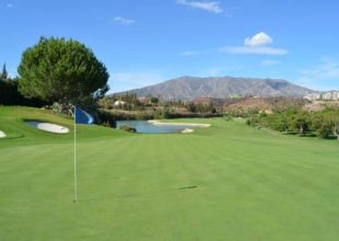 Golf Aufbau Training