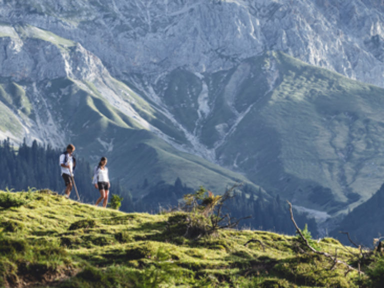 Wandern-seefeld-wanderwege-alm-beitrag