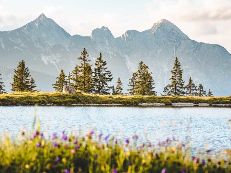 Sommer am Kaltwassersee bei der Rosshütte Seefeld